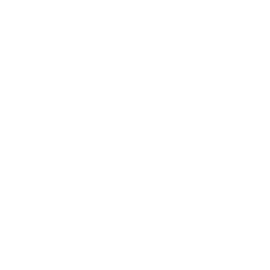logo iso